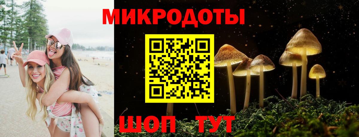 Псилоцибиновые грибы прущие грибы Верхняя Пышма